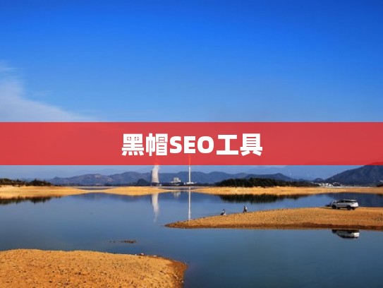 黑帽SEO工具