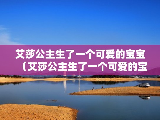 艾莎公主生了一个可爱的宝宝（艾莎公主生了一个可爱的宝宝图片）