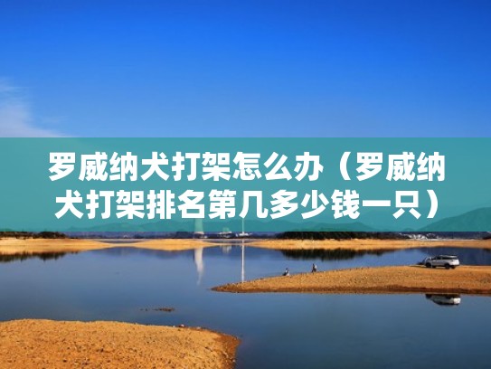 罗威纳犬打架怎么办（罗威纳犬打架排名第几多少钱一只）