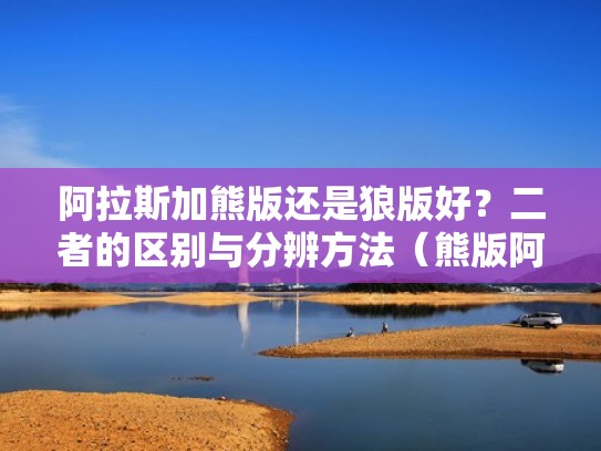 阿拉斯加熊版还是狼版好？二者的区别与分辨方法（熊版阿拉斯加与狼版阿拉斯加的分别）