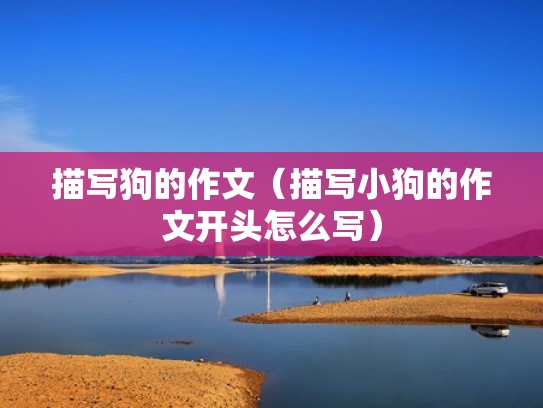 描写狗的作文（描写小狗的作文开头怎么写）