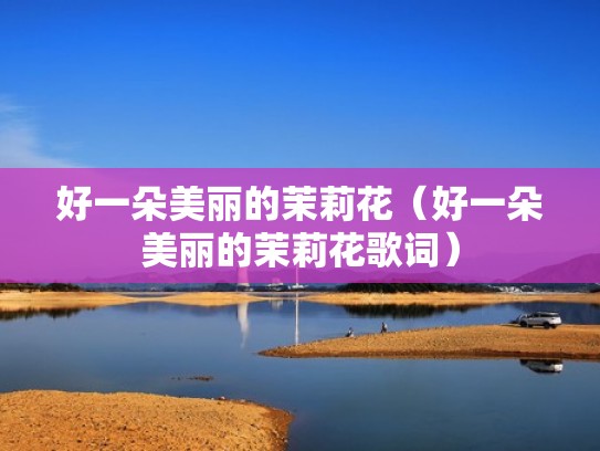 好一朵美丽的茉莉花（好一朵美丽的茉莉花歌词）