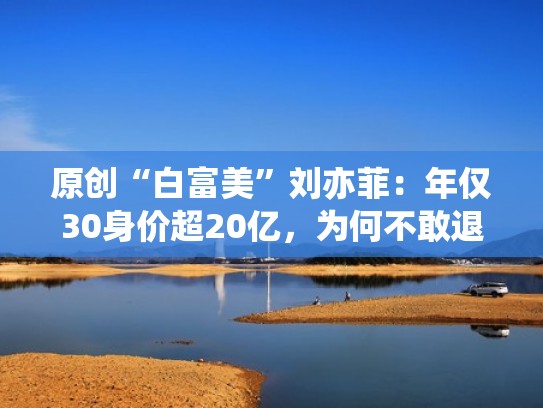 原创“白富美”刘亦菲：年仅30身价超20亿，为何不敢退出美籍？（刘亦菲财力）