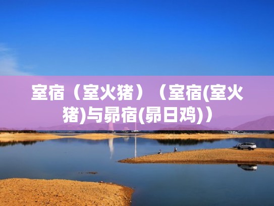 室宿（室火猪）（室宿(室火猪)与昴宿(昴日鸡)）