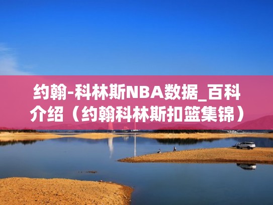 约翰-科林斯NBA数据_百科介绍（约翰科林斯扣篮集锦）