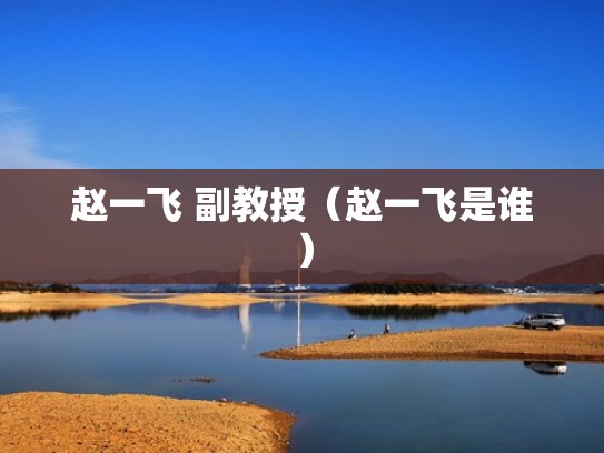 赵一飞 副教授（赵一飞是谁）