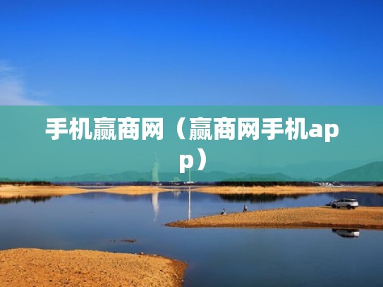 手机赢商网（赢商网手机app）