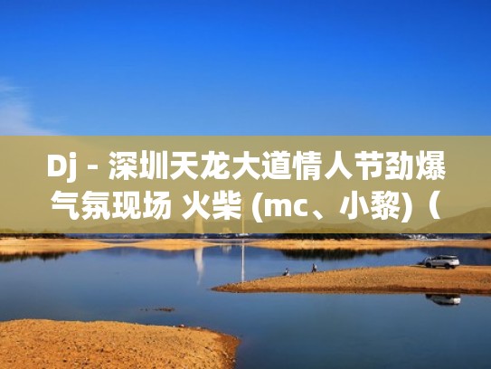 Dj - 深圳天龙大道情人节劲爆气氛现场 火柴 (mc、小黎)（深圳天龙大道mc小黎视频）