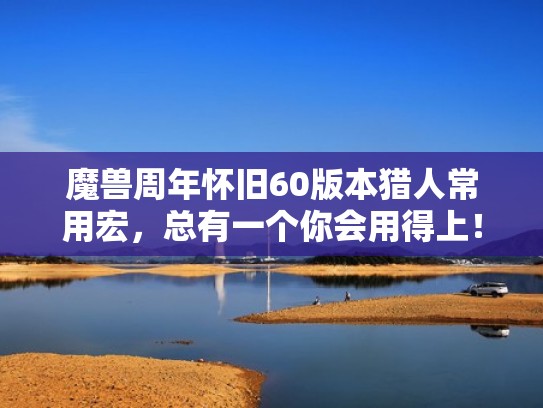 魔兽周年怀旧60版本猎人常用宏，总有一个你会用得上！（怀旧服猎人常用宏设置）