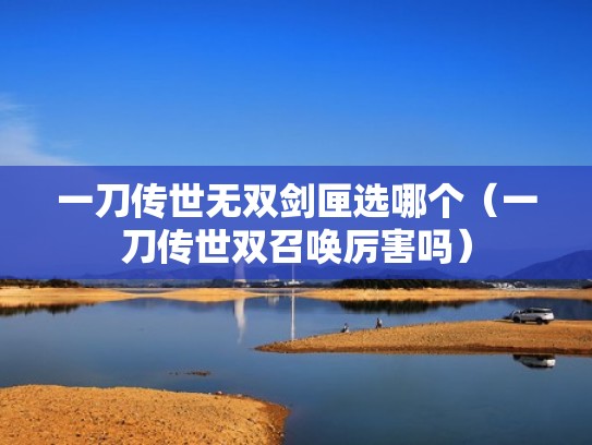 一刀传世无双剑匣选哪个(一刀传世双召唤厉害吗) 一刀传世无双剑匣选哪个(一刀传世双召唤厉害吗)