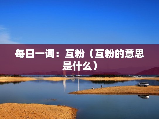 每日一词：互粉（互粉的意思是什么）