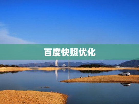 百度快照优化