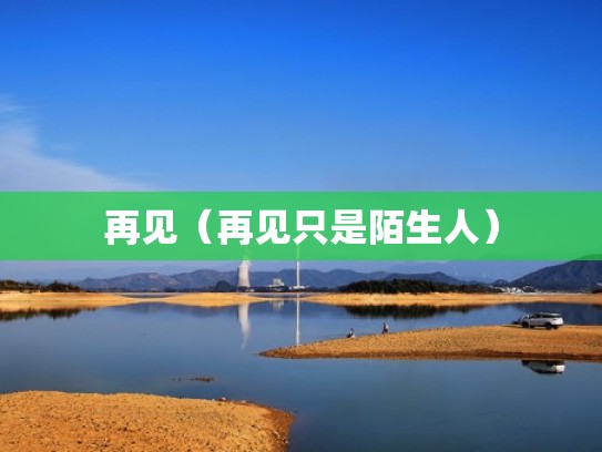 再见（再见只是陌生人）