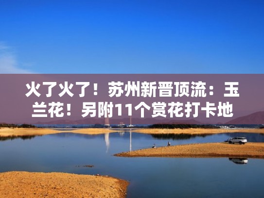 火了火了!苏州新晋顶流:玉兰花!另附11个赏花打卡地!(苏州哪里有玉兰花) 火了火了!苏州新晋顶流:玉兰花!另附11个赏花打卡地!(苏州哪里有玉兰花)