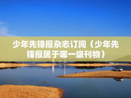 少年先锋报杂志订阅（少年先锋报属于哪一级刊物）