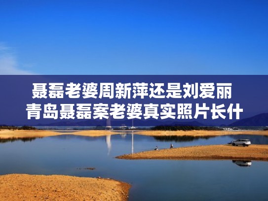 聂磊老婆周新萍还是刘爱丽 青岛聂磊案老婆真实照片长什么样子（聂磊在青岛如何）