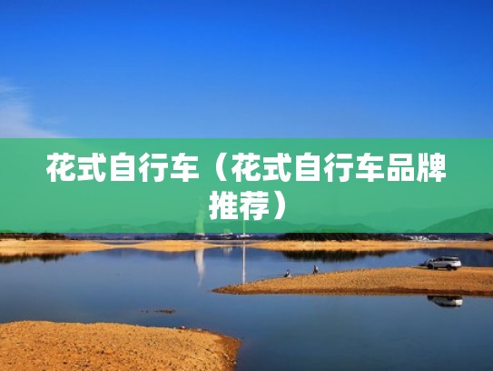 花式自行车（花式自行车品牌推荐）