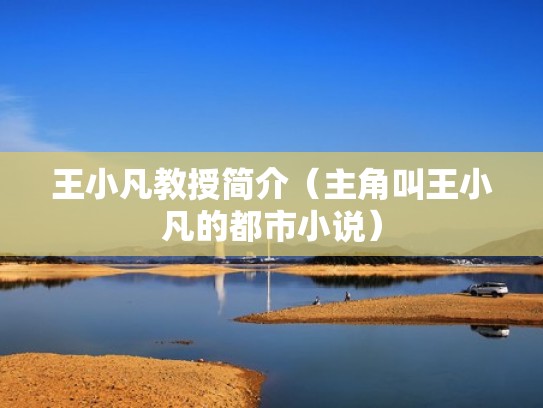 王小凡教授简介（主角叫王小凡的都市小说）