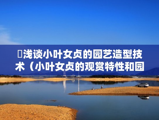 浅谈小叶女贞的园艺造型技术（小叶女贞的观赏特性和园林用途）