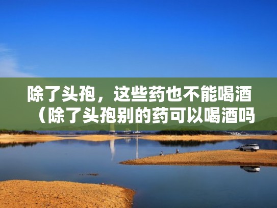 除了头孢，这些药也不能喝酒（除了头孢别的药可以喝酒吗）