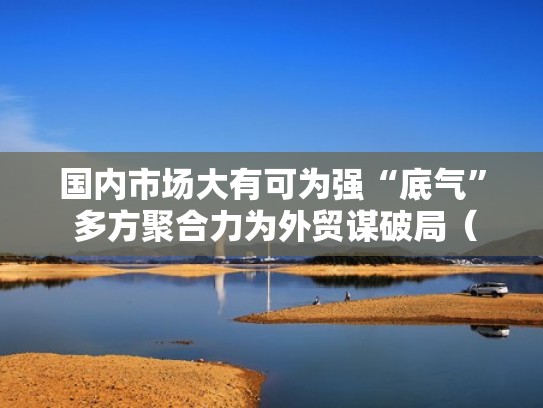 国内市场大有可为强“底气” 多方聚合力为外贸谋破局（外贸市场份额）