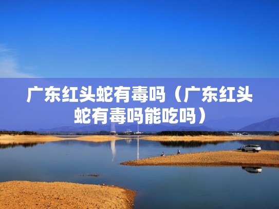广东红头蛇有毒吗（广东红头蛇有毒吗能吃吗）