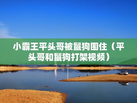 小霸王平头哥被鬣狗围住（平头哥和鬣狗打架视频）