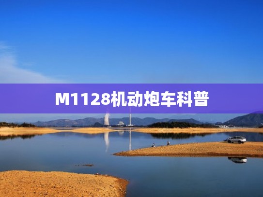M1128机动炮车科普 M1128机动炮车科普