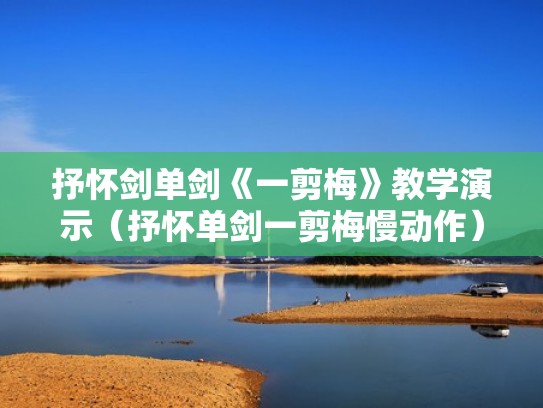 抒怀剑单剑《一剪梅》教学演示（抒怀单剑一剪梅慢动作）