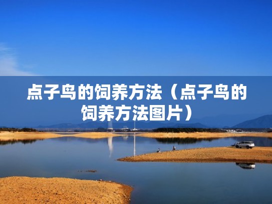 点子鸟的饲养方法（点子鸟的饲养方法图片）