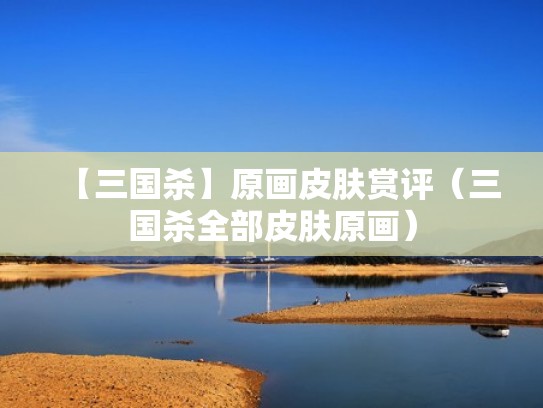 【三国杀】原画皮肤赏评（三国杀全部皮肤原画）
