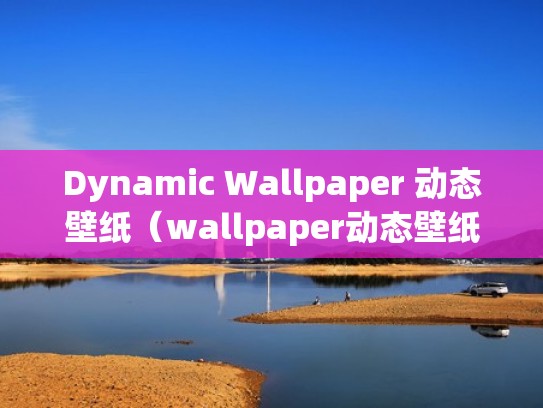 Dynamic Wallpaper 动态壁纸（wallpaper动态壁纸mp4）