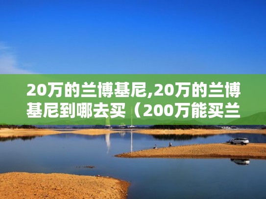 20万的兰博基尼,20万的兰博基尼到哪去买(200万能买兰博基尼) 20万的兰博基尼,20万的兰博基尼到哪去买(200万能买兰博基尼)