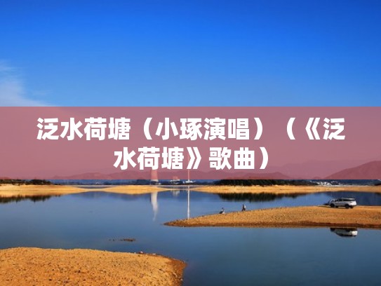 泛水荷塘（小琢演唱）（《泛水荷塘》歌曲）