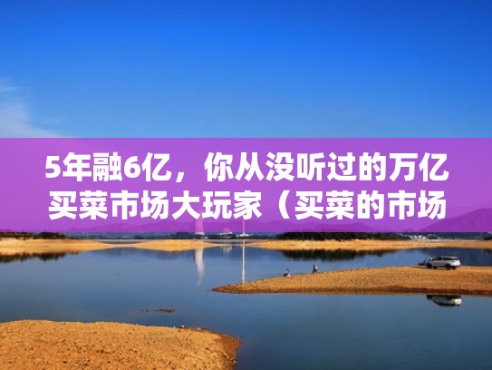 5年融6亿，你从没听过的万亿买菜市场大玩家（买菜的市场叫什么）