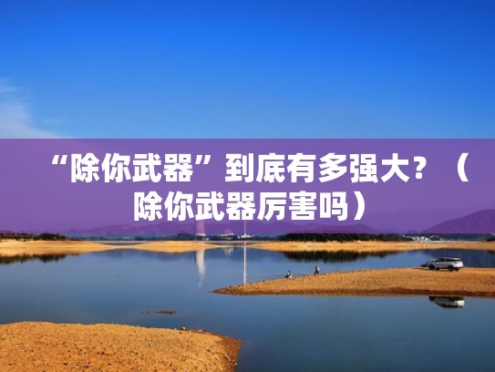 “除你武器”到底有多强大？（除你武器厉害吗）