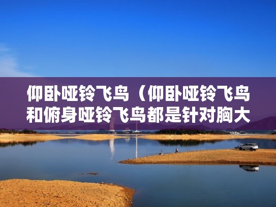 仰卧哑铃飞鸟（仰卧哑铃飞鸟和俯身哑铃飞鸟都是针对胸大肌的锻炼）