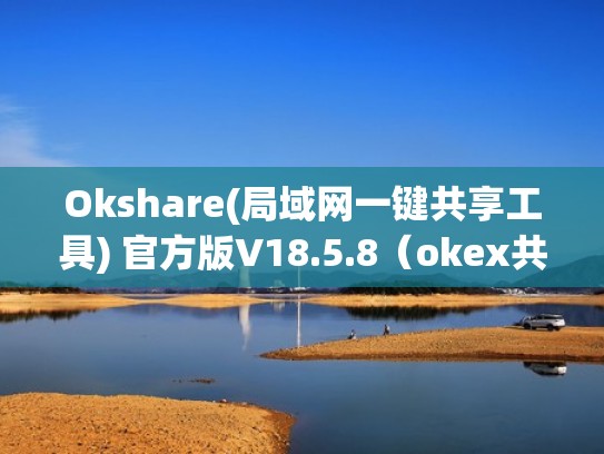 Okshare(局域网一键共享工具) 官方版V18.5.8（okex共享）