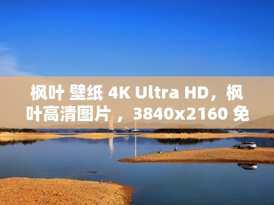 枫叶 壁纸 4K Ultra HD，枫叶高清图片 ，3840x2160 免费下载图片（枫叶壁纸 高清版 手机 唯美）