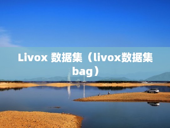 Livox 数据集（livox数据集bag）