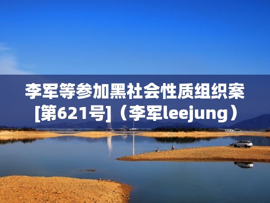 李军等参加黑社会性质组织案[第621号]（李军leejung）