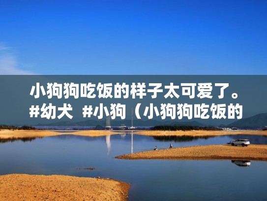 小狗狗吃饭的样子太可爱了。 #幼犬  #小狗（小狗狗吃饭的照片）