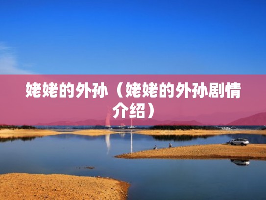 姥姥的外孙（姥姥的外孙剧情介绍）