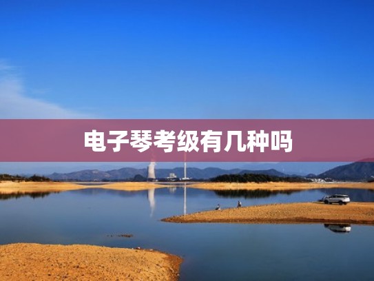 电子琴考级有几种吗