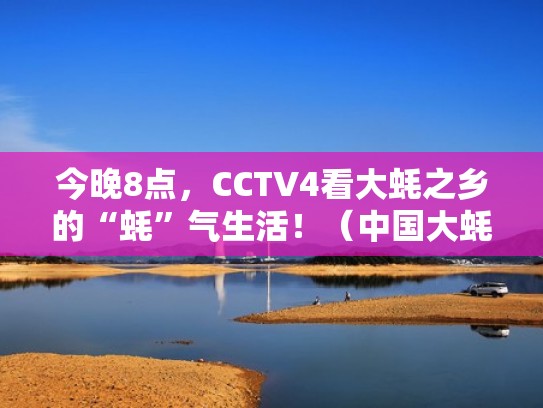 今晚8点，CCTV4看大蚝之乡的“蚝”气生活！（中国大蚝产地）