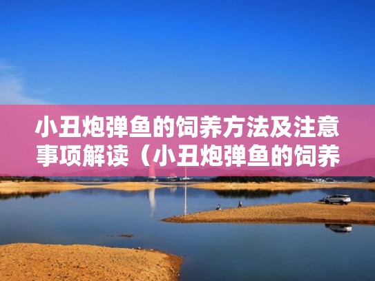 小丑炮弹鱼的饲养方法及注意事项解读(小丑炮弹鱼的饲养方法及注意事项解读视频) 小丑炮弹鱼的饲养方法及注意事项解读(小丑炮弹鱼的饲养方法及注意事项解读视频)