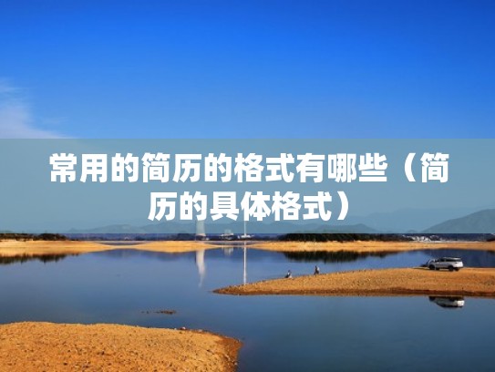 常用的简历的格式有哪些（简历的具体格式）