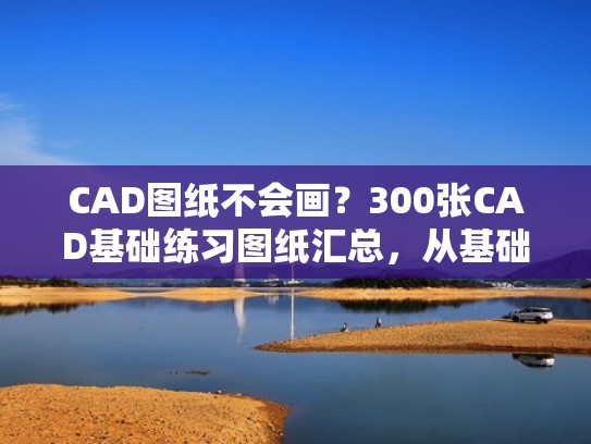 CAD图纸不会画？300张CAD基础练习图纸汇总，从基础开始超详细（cad图纸画图步骤）