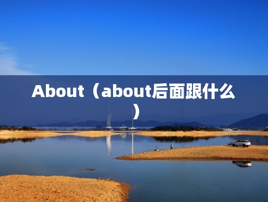 About（about后面跟什么）