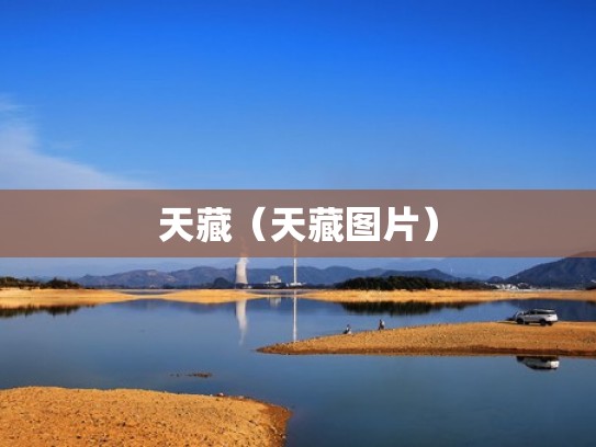 天藏（天藏图片）